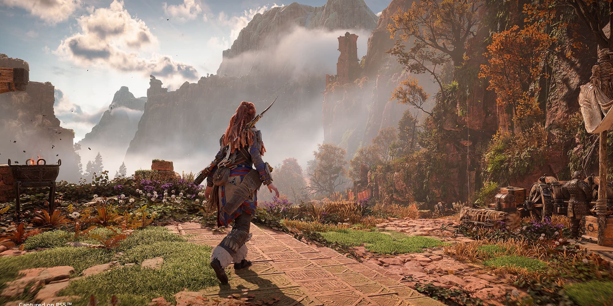 Aloy walks along a path leading to forestation in Horizon Forbidden West.