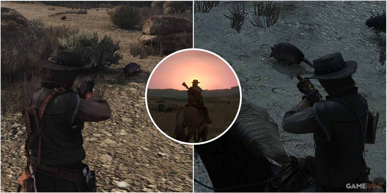 Red Dead Redemption: Where To Find Armadillos