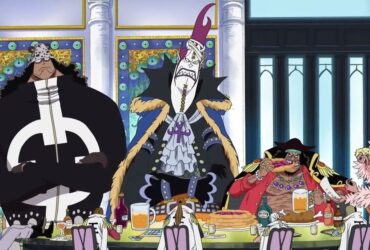 Goals of Every Shichibukai In One Piece