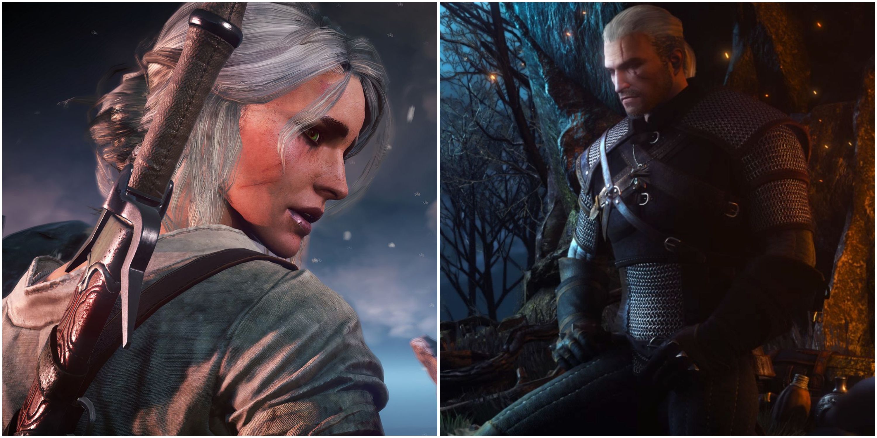 The Witcher: Best Short Stories