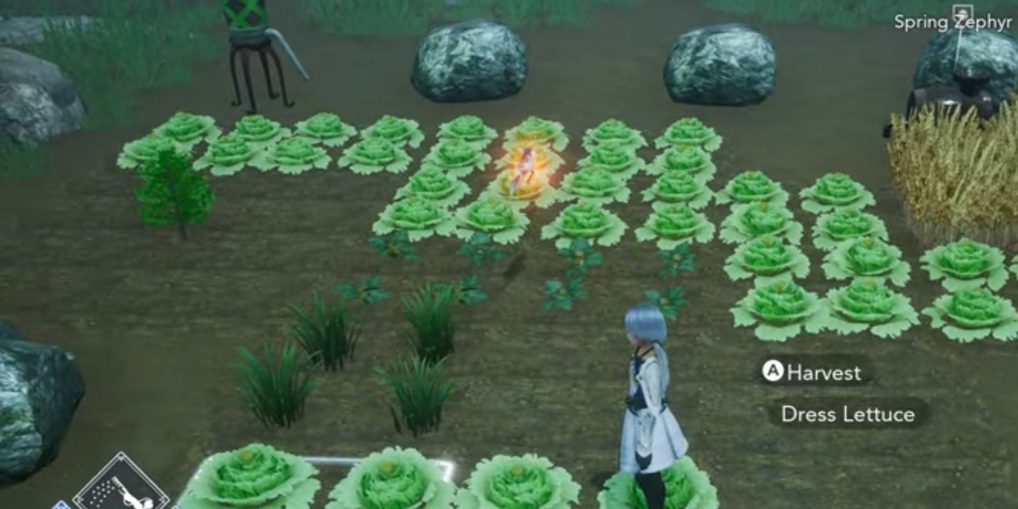 A field of cabbages in Harvestella.