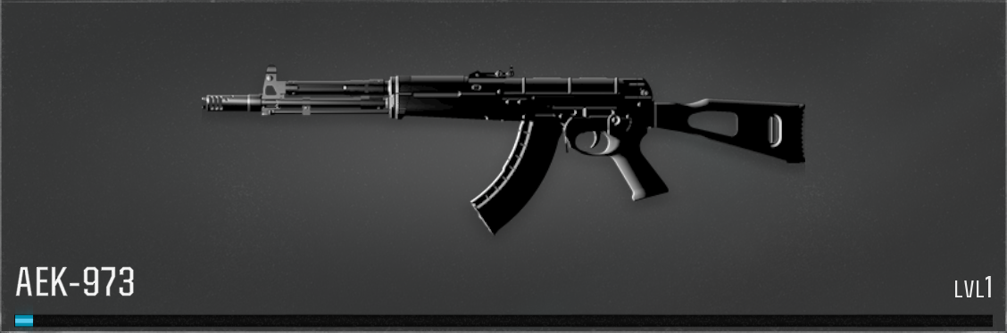 Black Ops 6 AEK-973 Weapon Icon