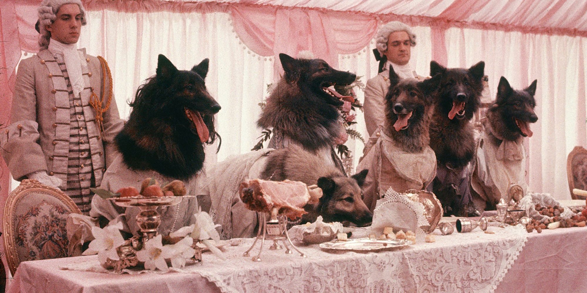 The Company Of Wolves 1984