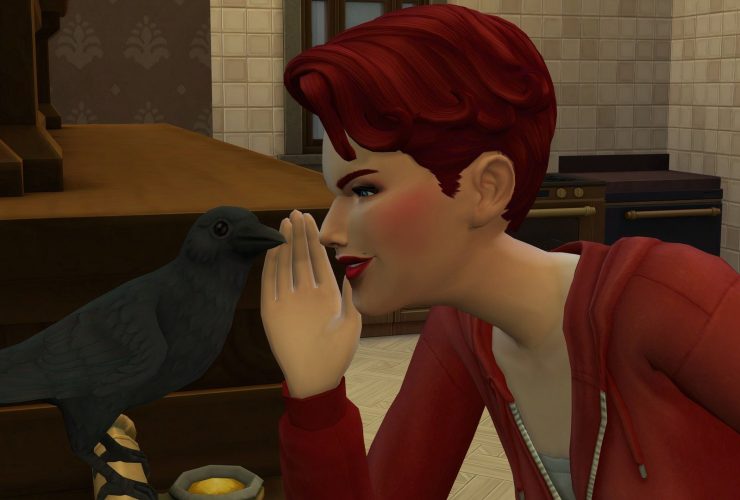 How To Care For Pet Crows In The Sims 4: Life & Death