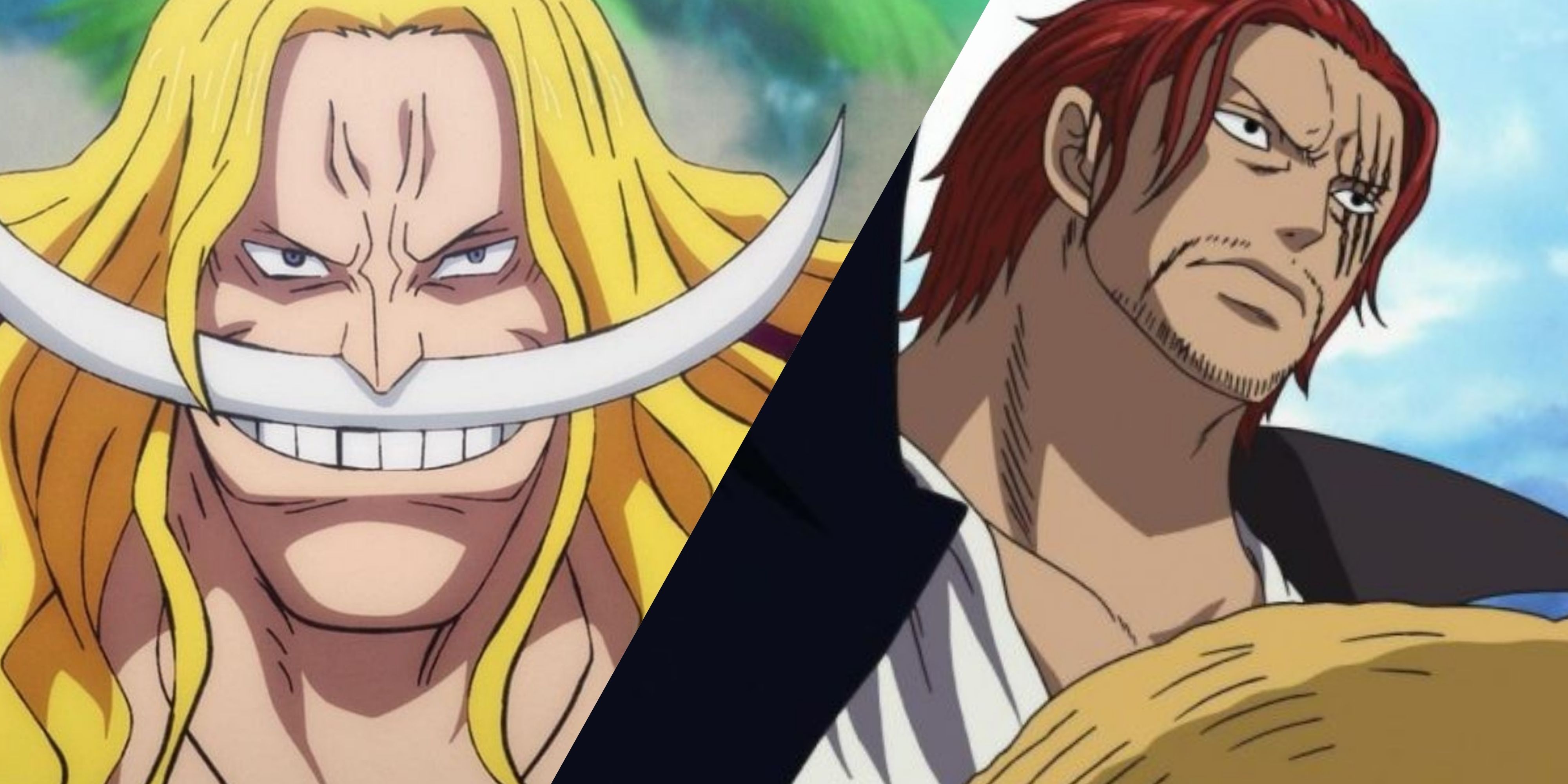 Featured Most Honorable Characters One Piece Shanks Whitebeard 