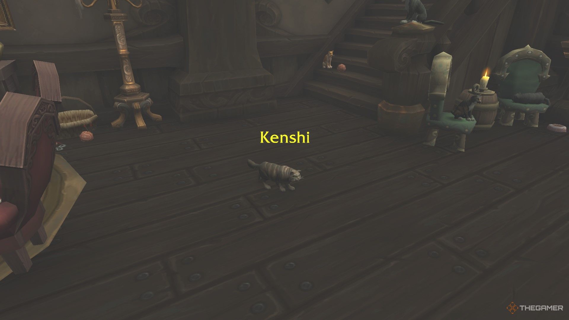 Kenshi, a cat living in Catty Cathy's in Boralus, capital of Kul Tiras.