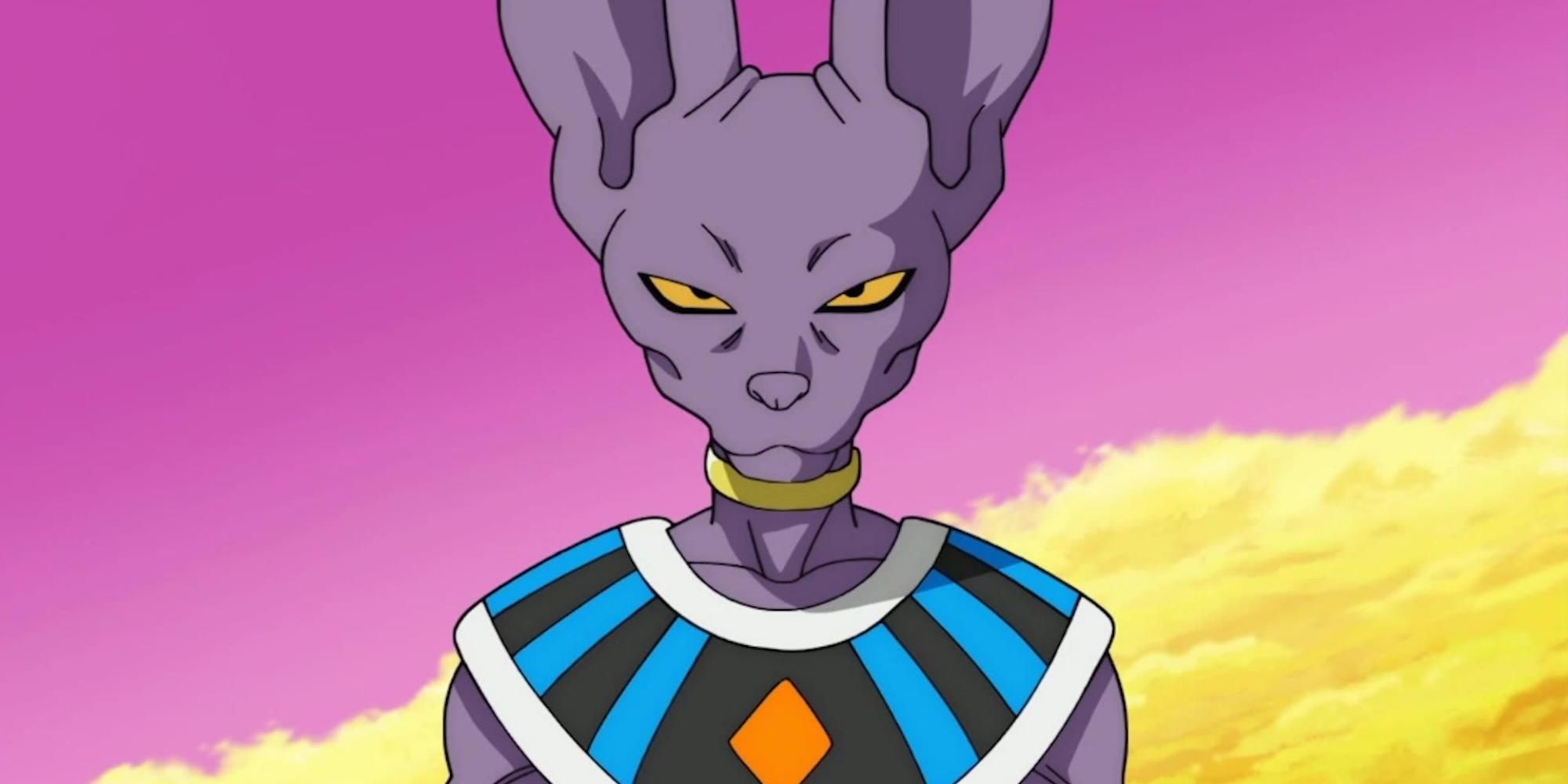 Beerus in Dragon Ball