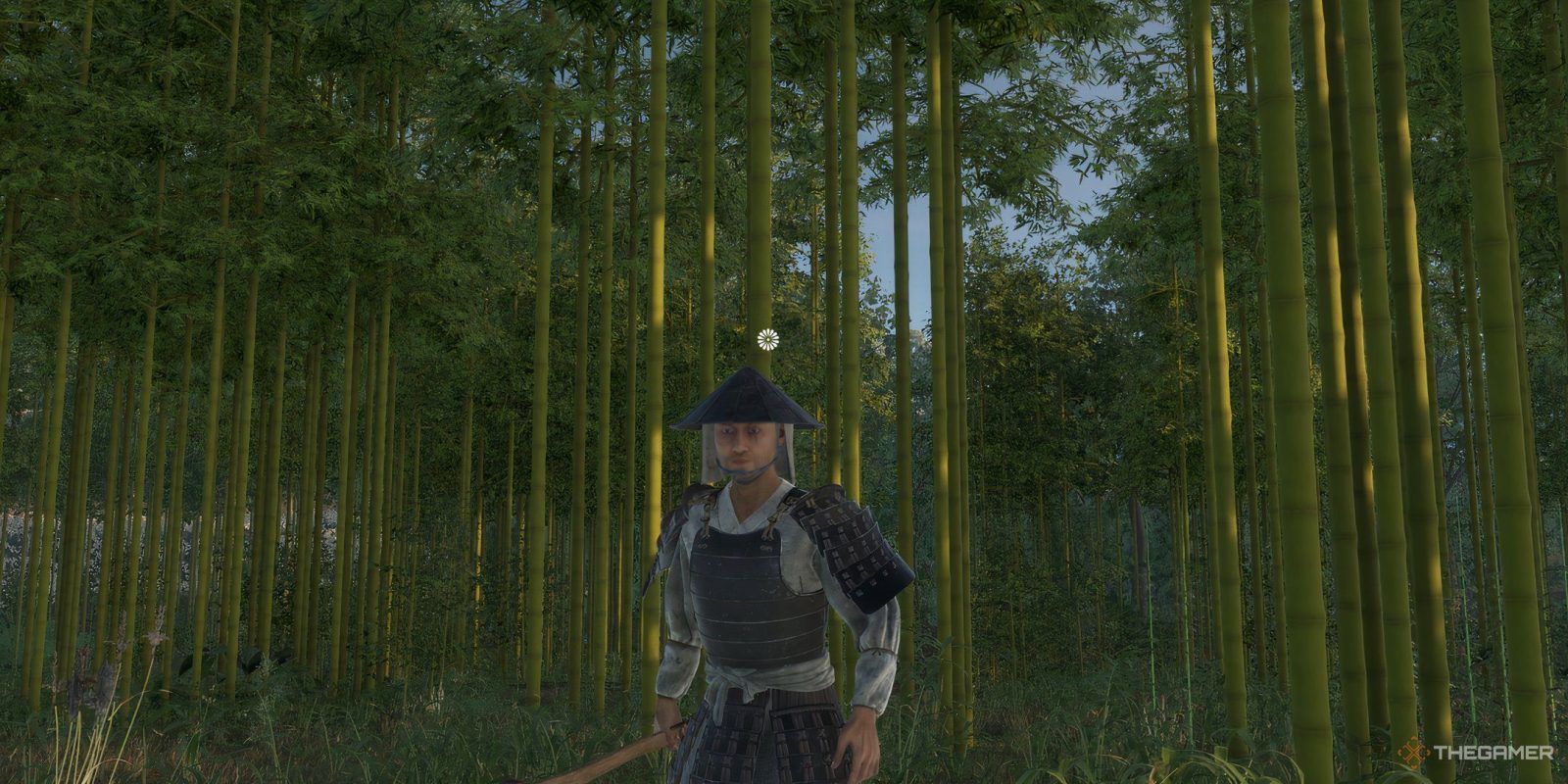 Where To Find Bamboo In Sengoku Dynasty