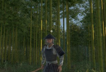 Where To Find Bamboo In Sengoku Dynasty