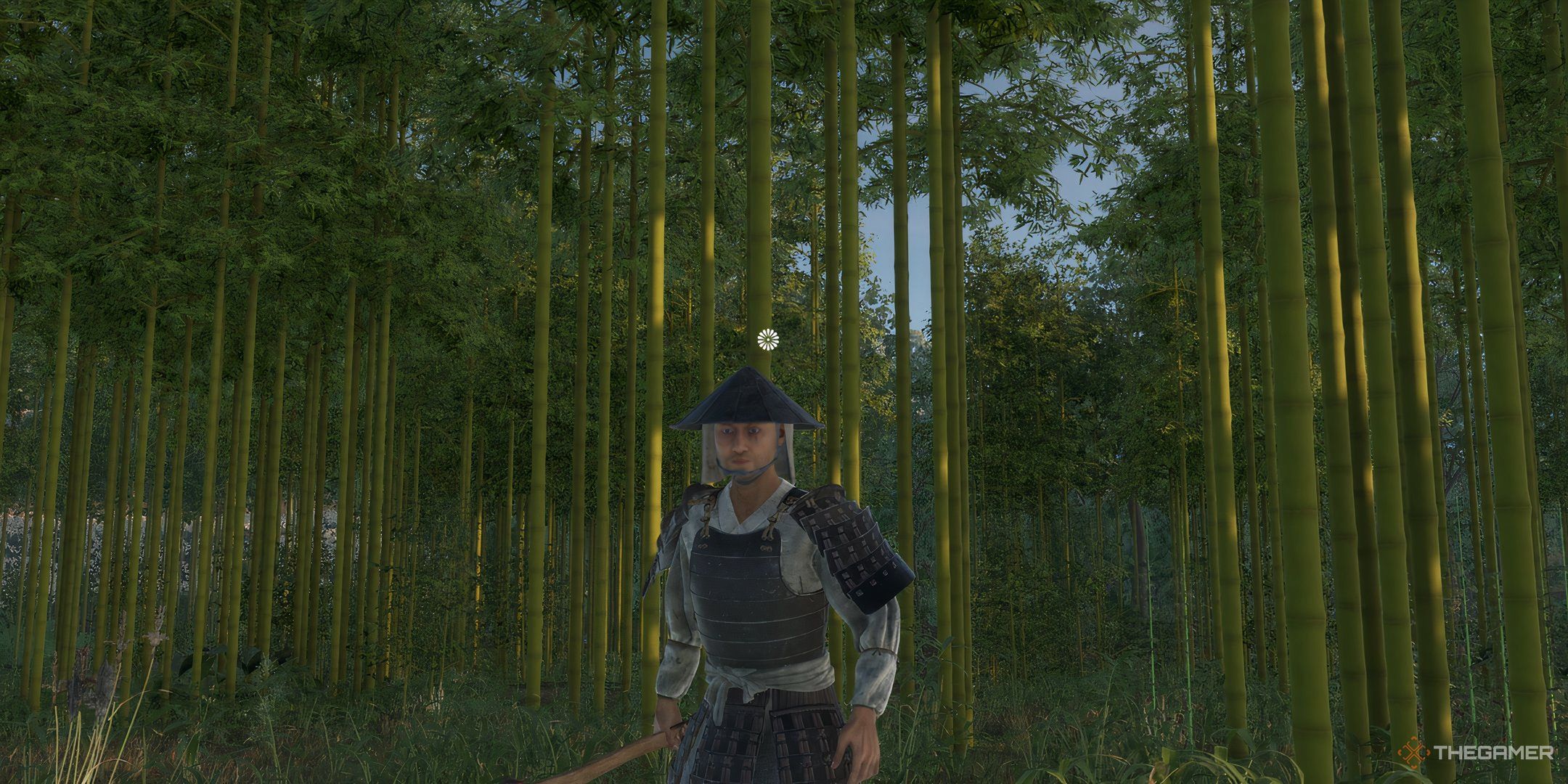 Sengoku Dynasty character standing in front of a lot of bamboo trees.