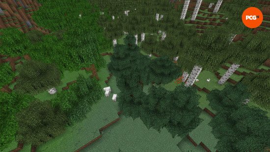 A top-down view between biomes shows birch, spruce, and oak trees with fluffier leaves thanks to the Motschen's Better Leaves Minecraft texture pack.