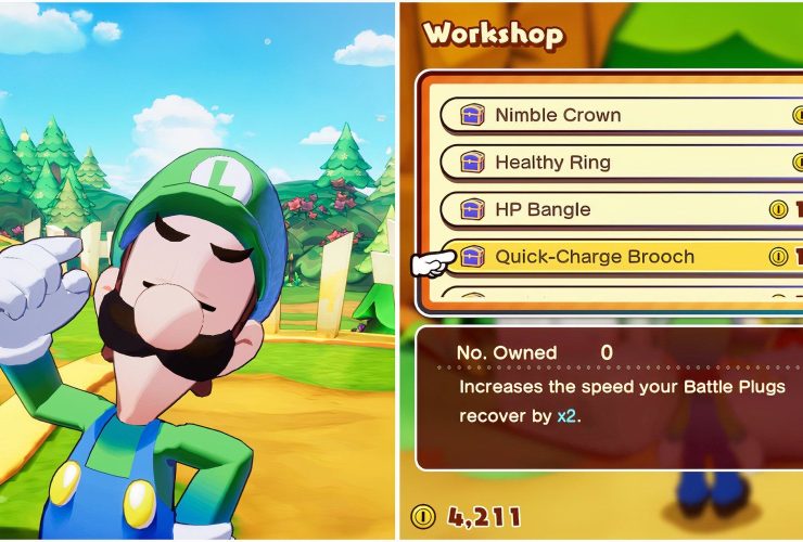 The Best Early Game Accessories In Mario & Luigi: Brotherships