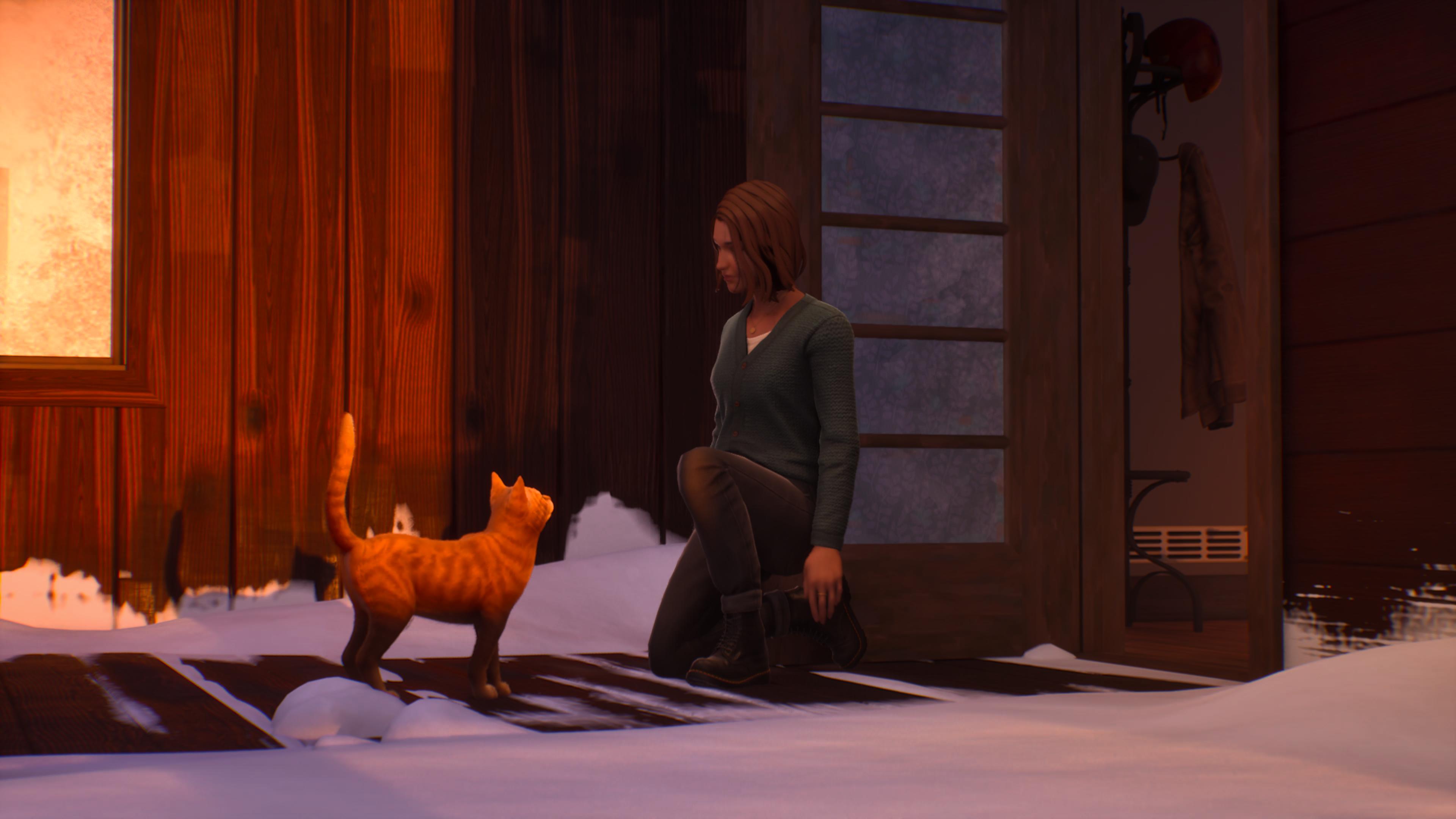 Life is Strange: Double Exposure screenshot showing Max playing with a cat