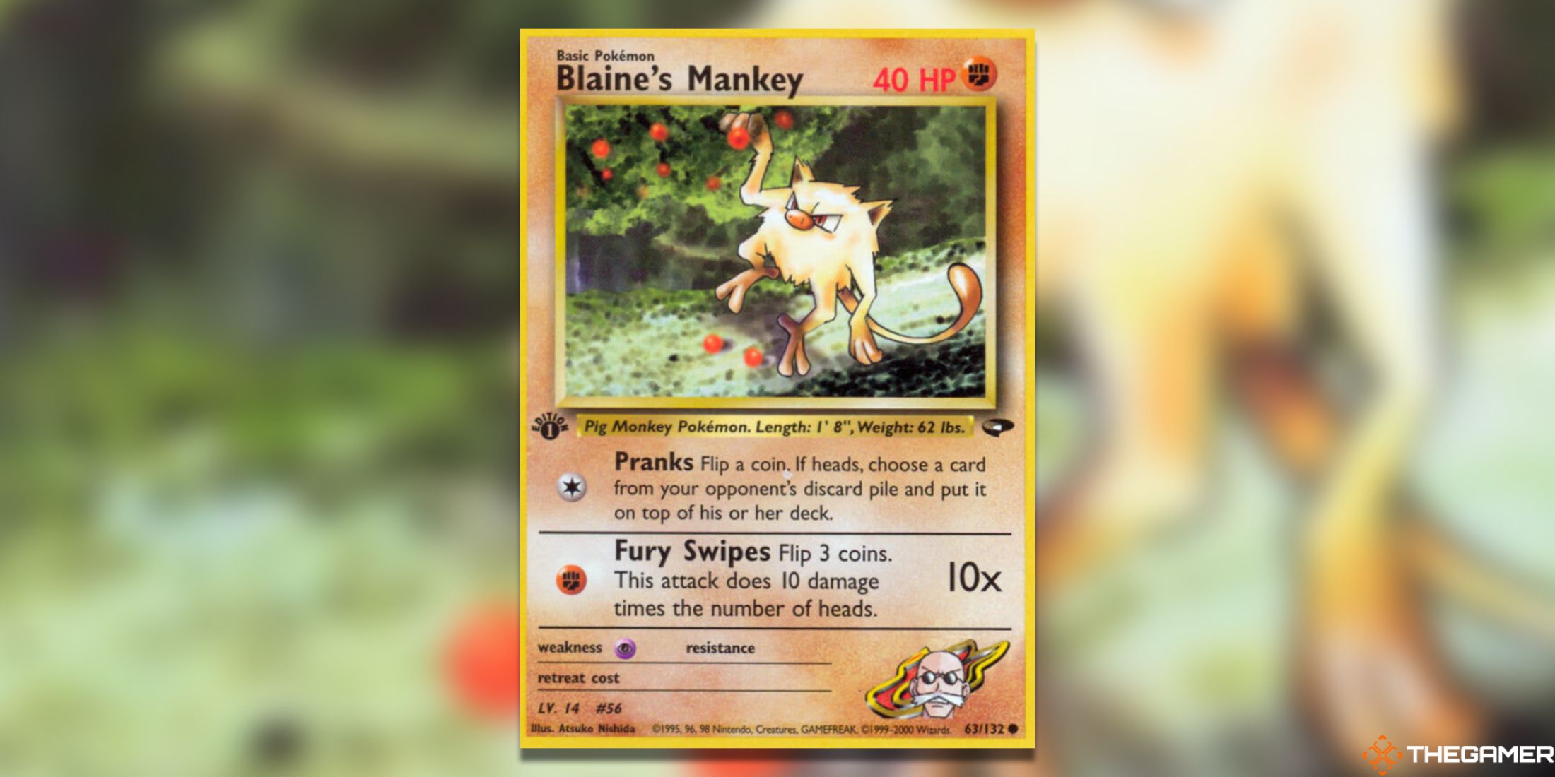 Blaine's Mankey from Gym Challenge in the Pokemon TCG.