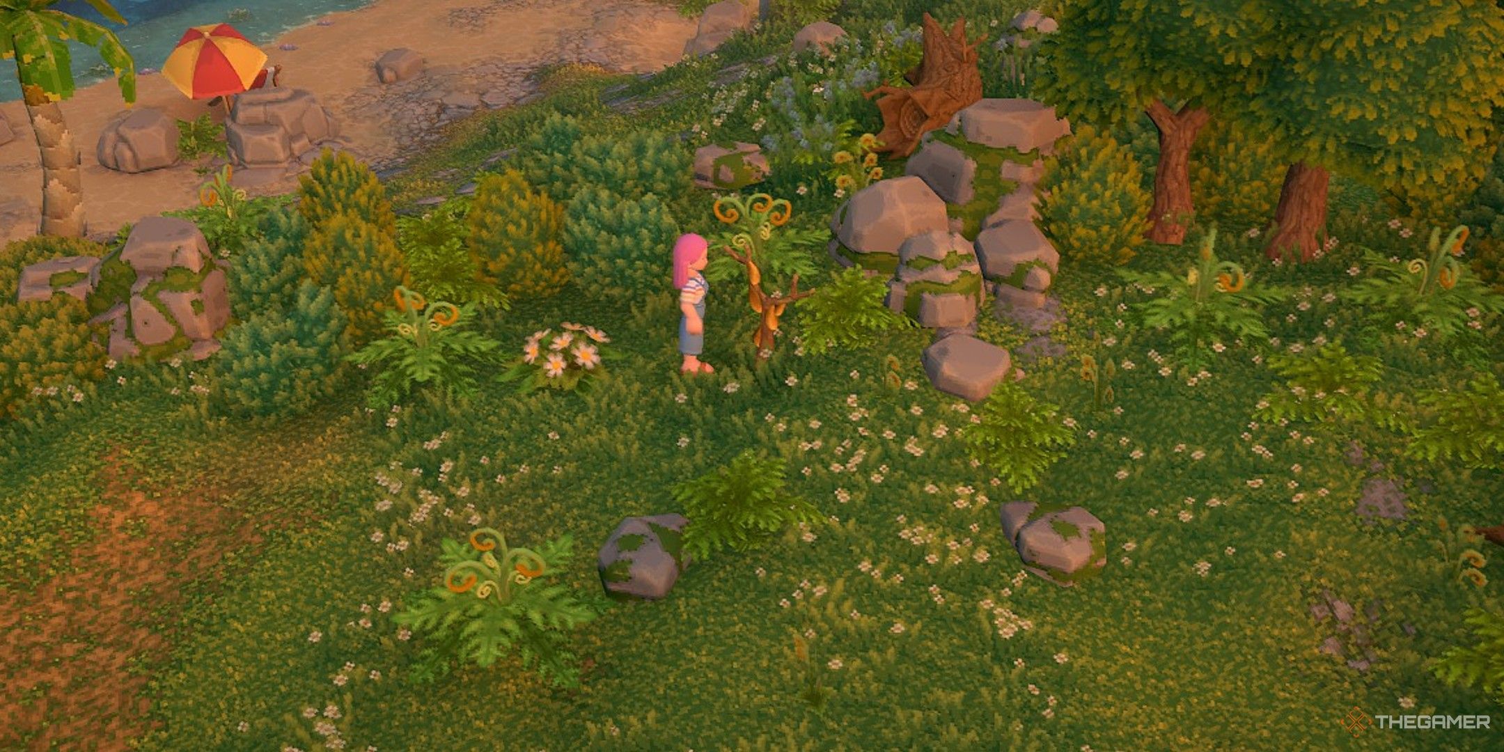 Player character standing next to a Farm Resin Bush in the morning in Luma Island.