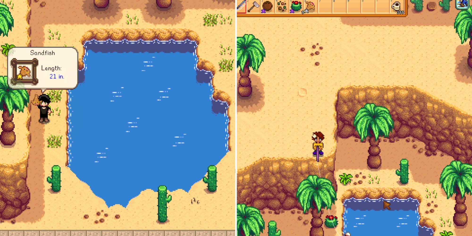 Both Desert Ponds in Stardew Valley.