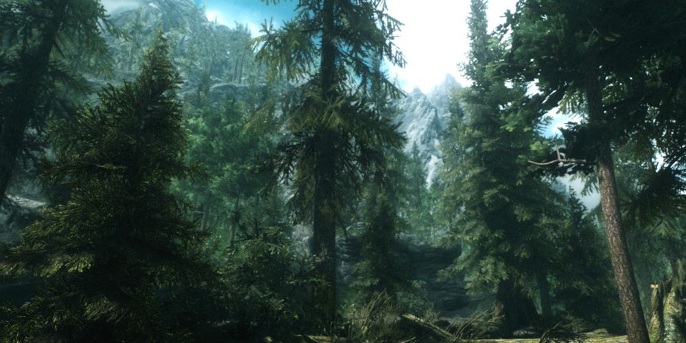 A tall forest of trees with the SFO mod