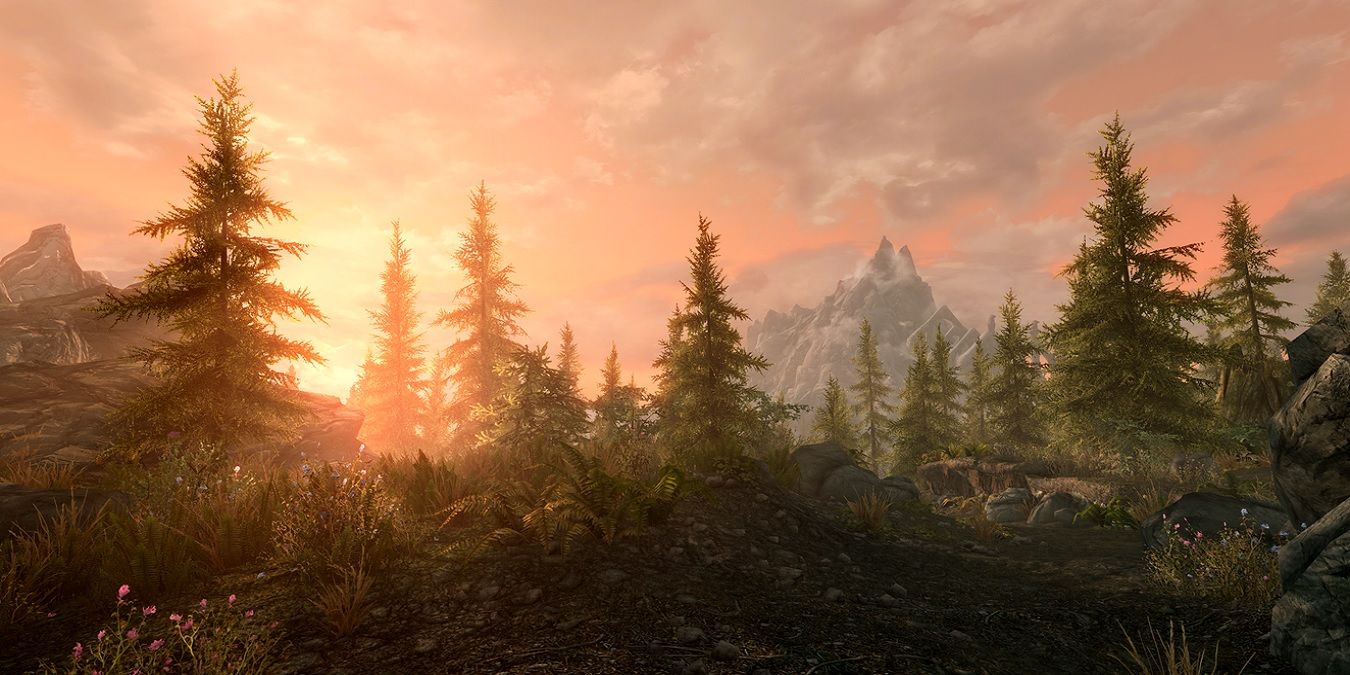 Forest of trees in the foreground and a mountain in the background with the sun setting