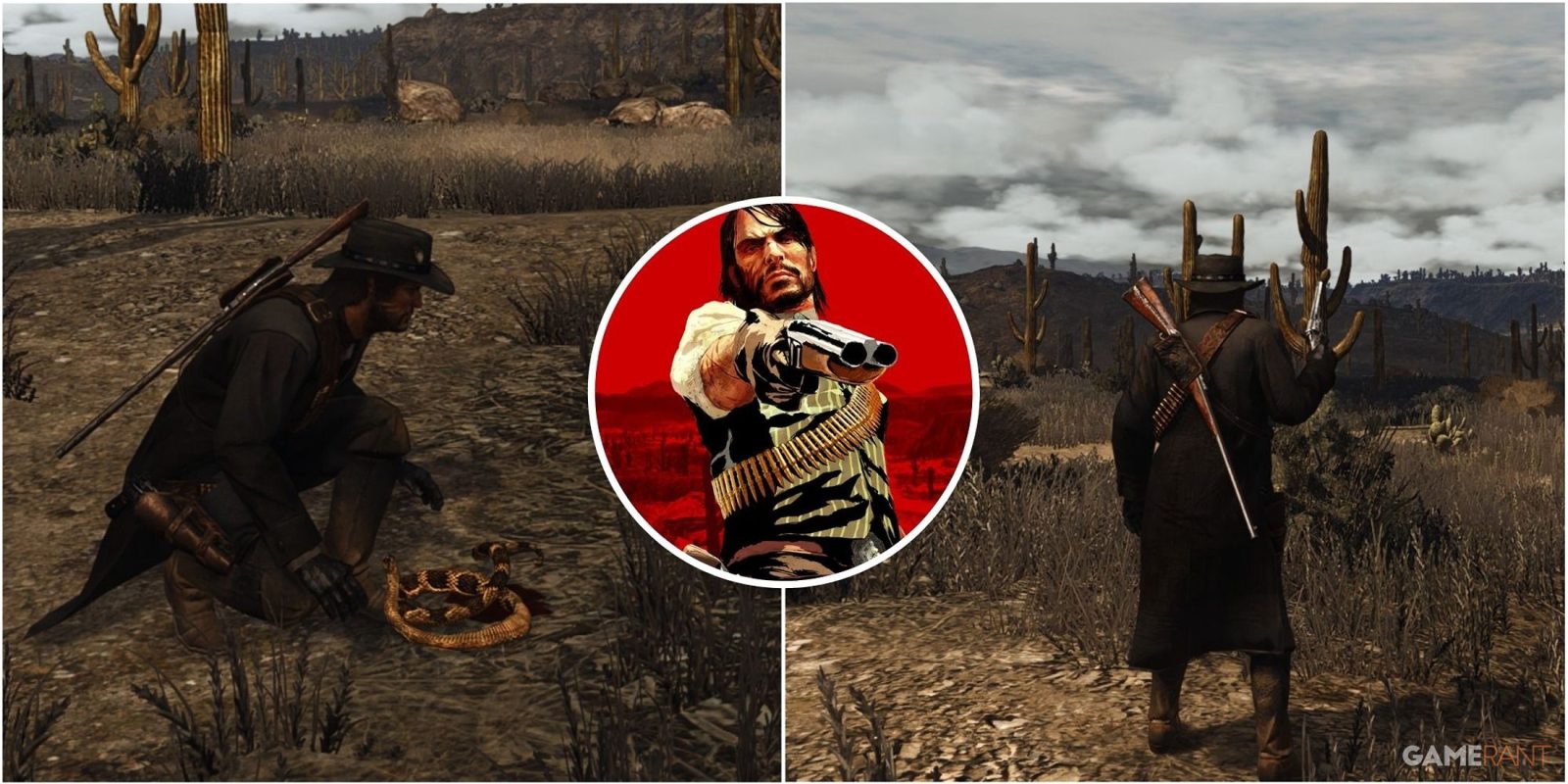 Red Dead Redemption: Where To Find Snakes