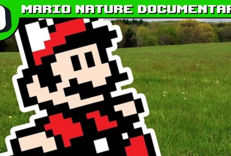 If Mario Games Had Nature Documentaries