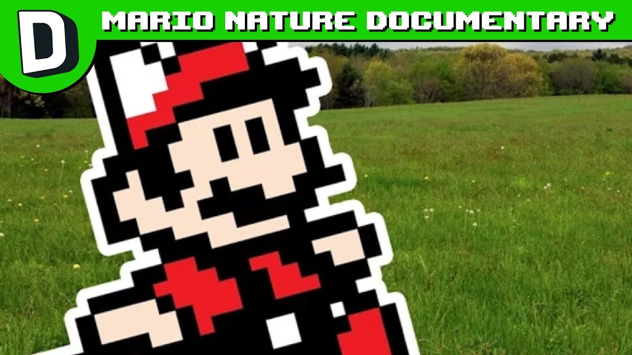 If Mario Games Had Nature Documentaries