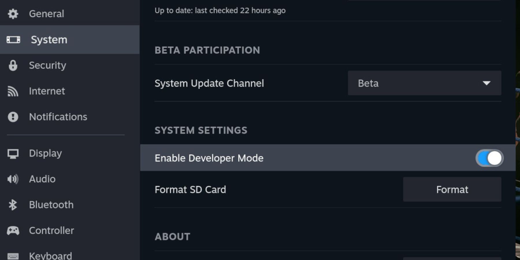 Steam Deck Developer Mode