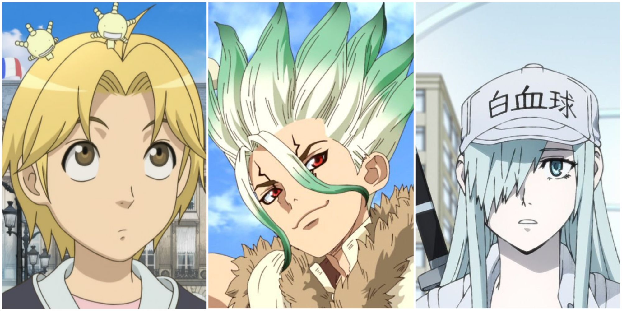 Dr Stone-like Anime- Moyashimon Dr Stone Cells at Work