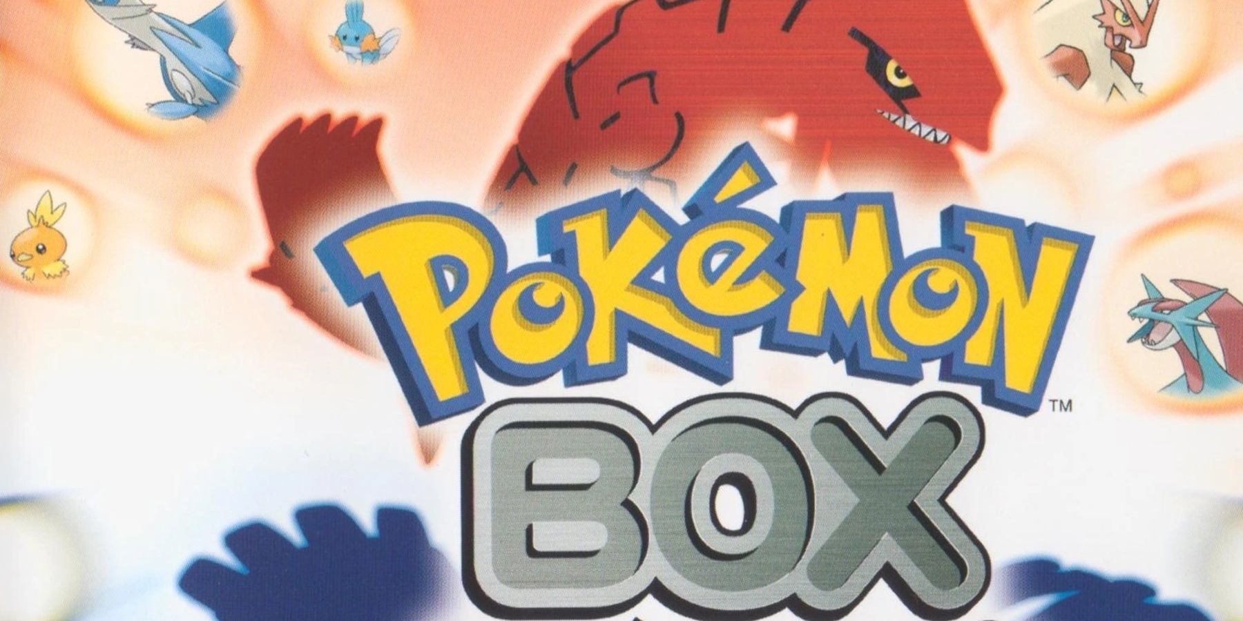 Rarest Gamecube Games- Pokemon Box