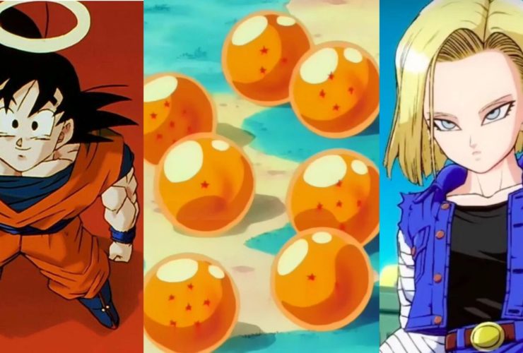 Best Wishes Made With The Dragon Balls