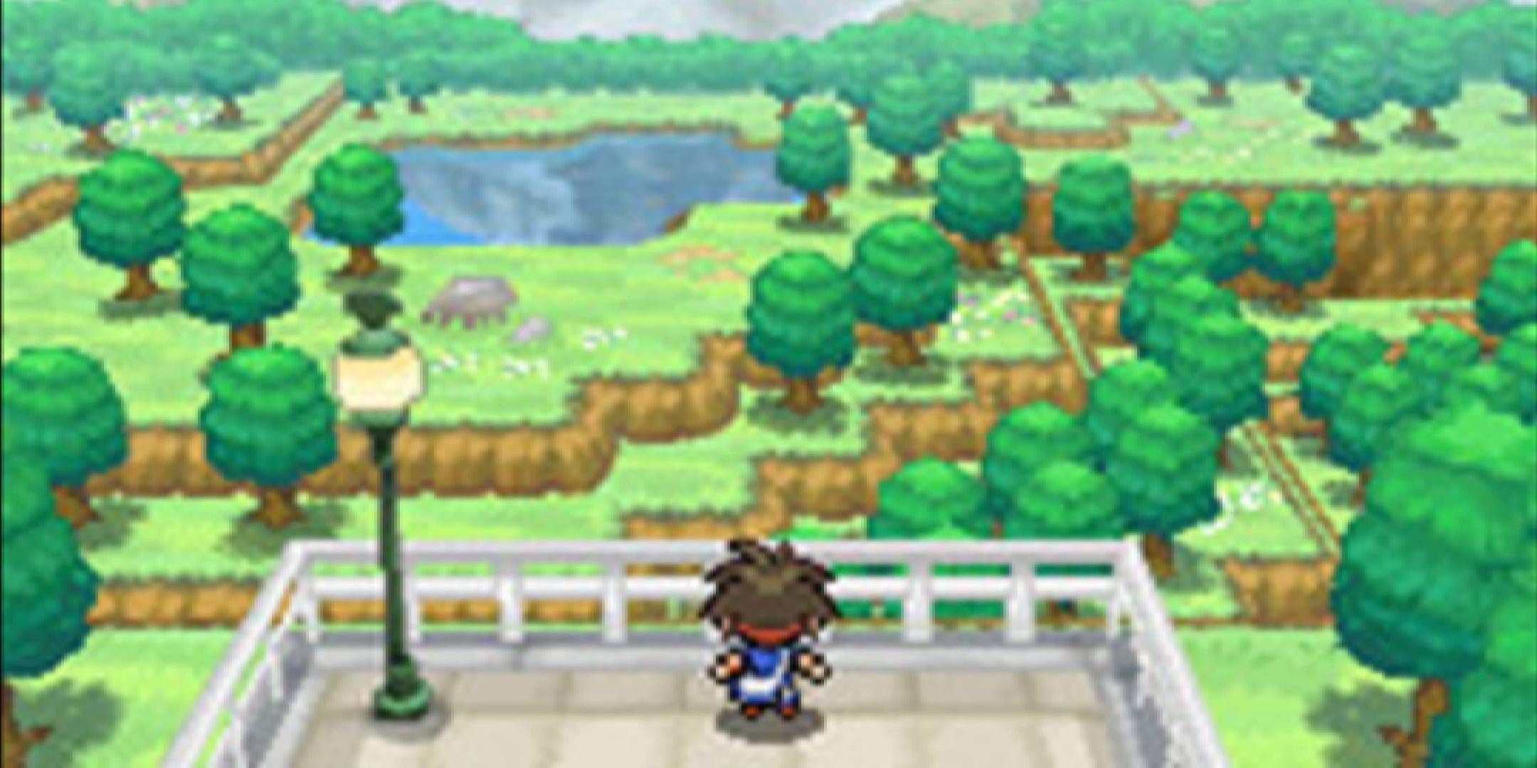 Nate overlooking the world in Pokemon Black 2.