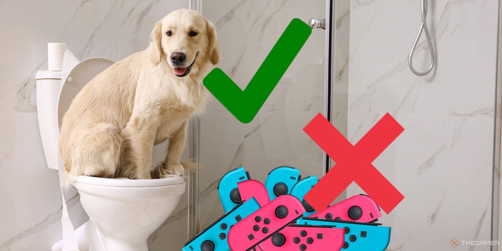 Nintendo Issues Warning About Pets Peeing On Switch Joy-Con