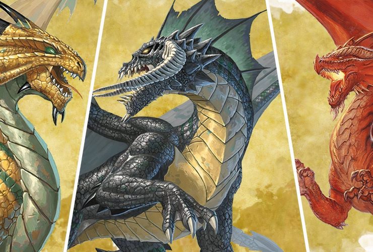 The Meaning Of Every Dragon Color In DND