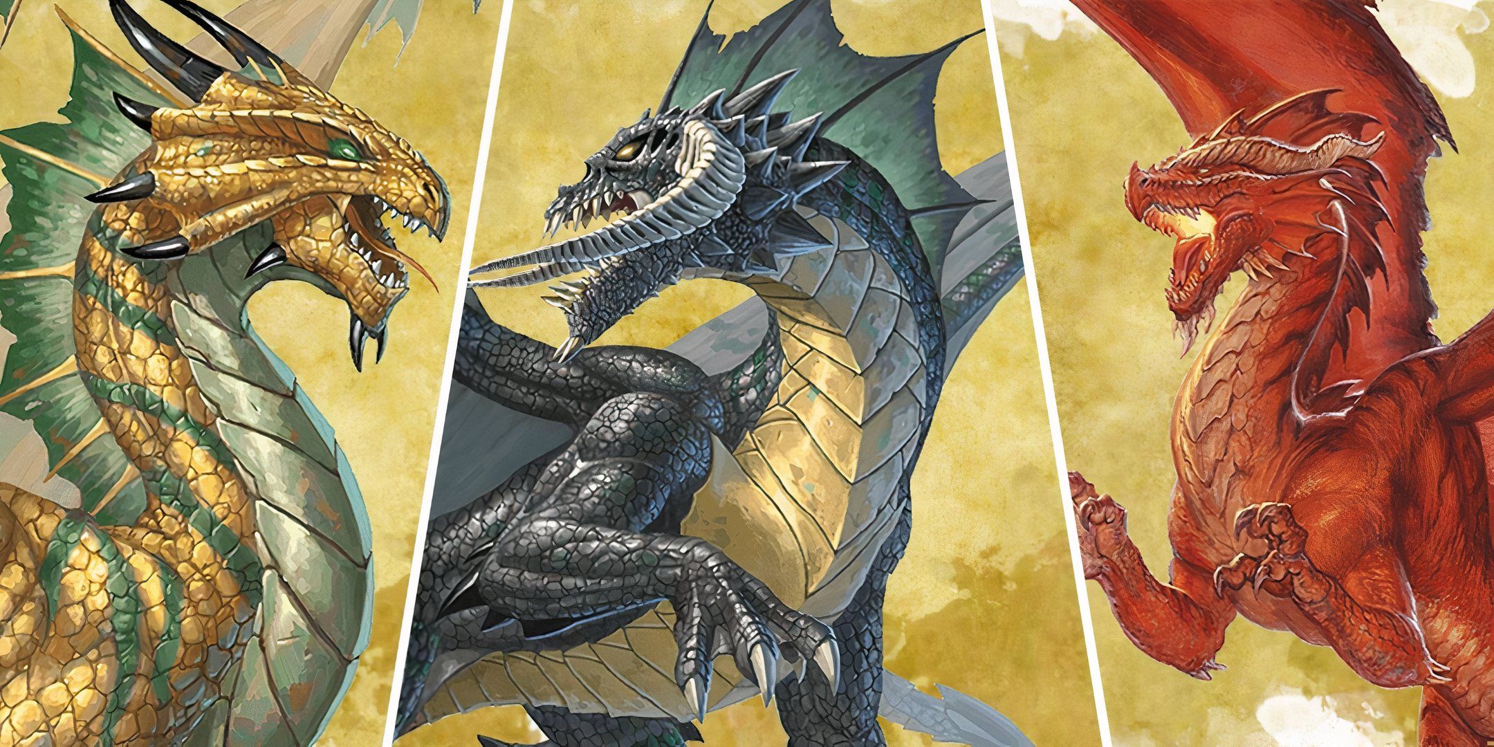 Ancient Brass, Red and Black Dragon's side by side ina. split image from dungeons & Dragons. 