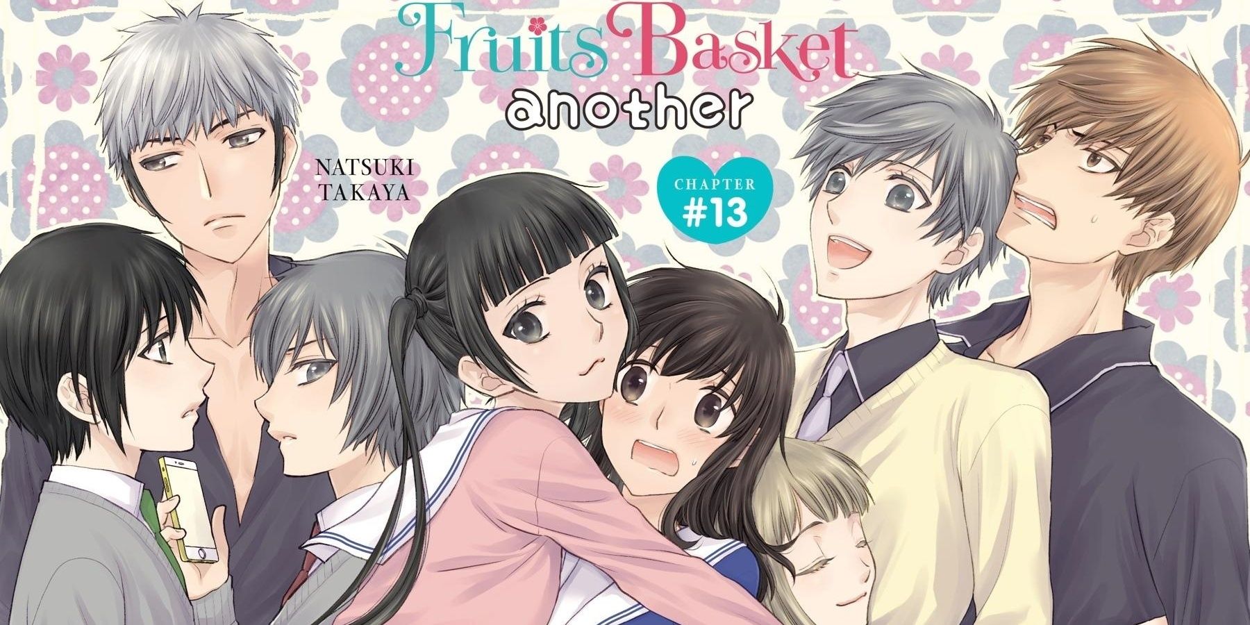 Romantic Sequel Manga- Fruits Basket Another