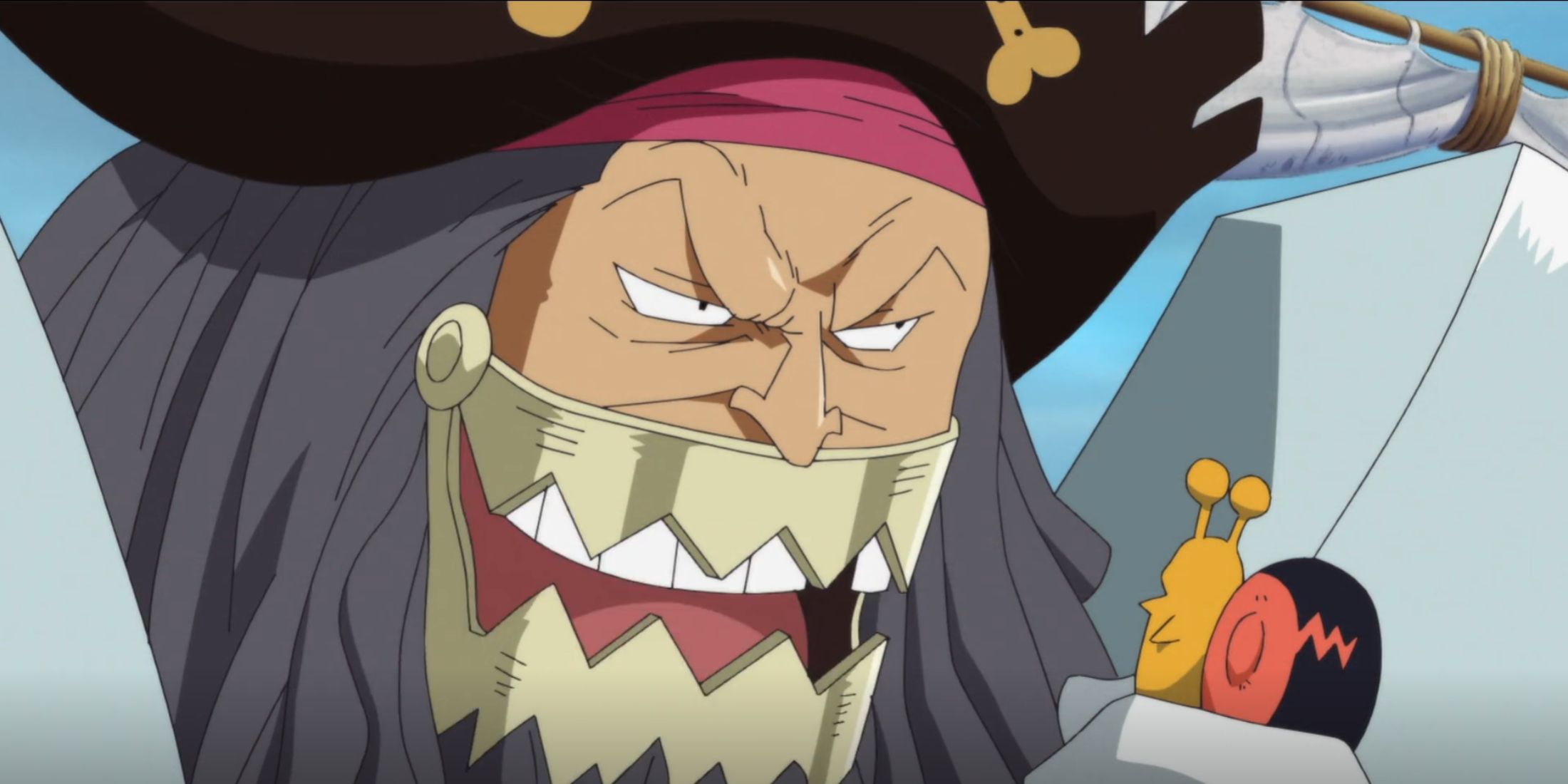 pirate captain bizarre in one piece