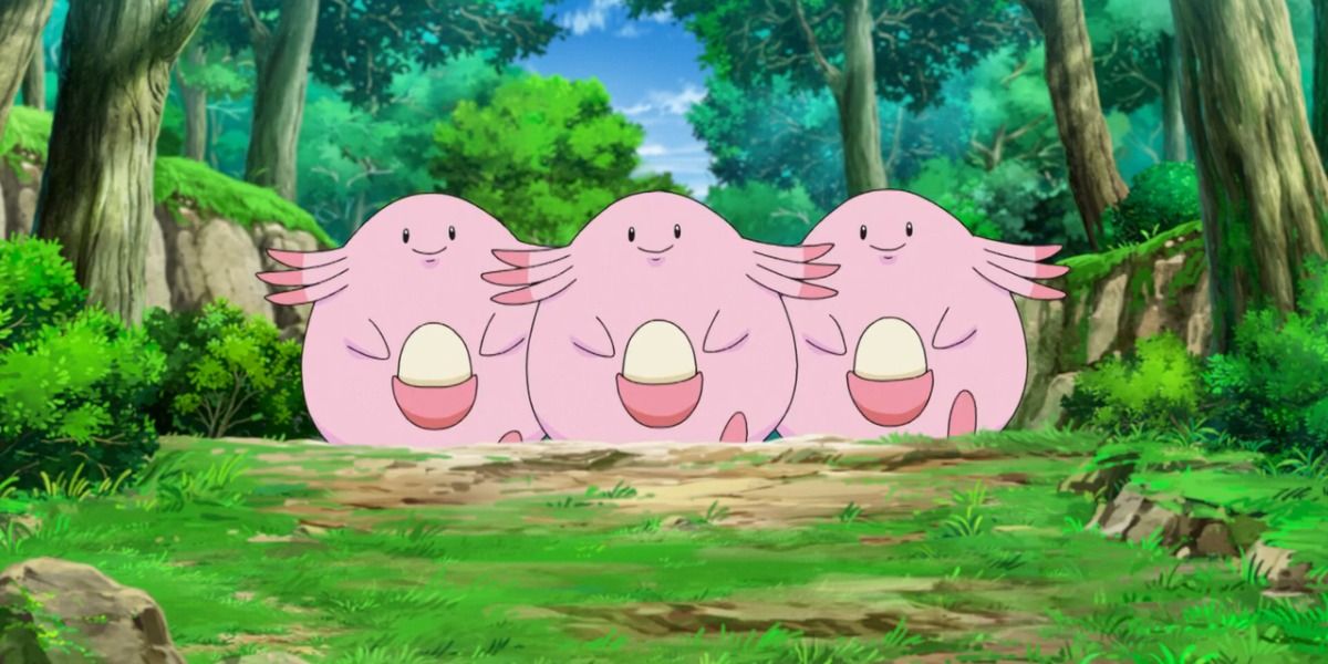 The Chansey Pokemon species