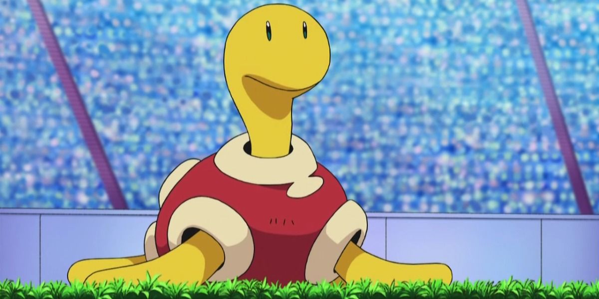 The Shuckle Pokemon species