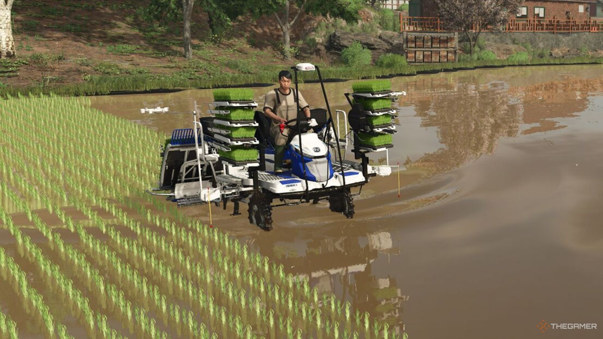 An image of planting rice in Farming Simulator 25