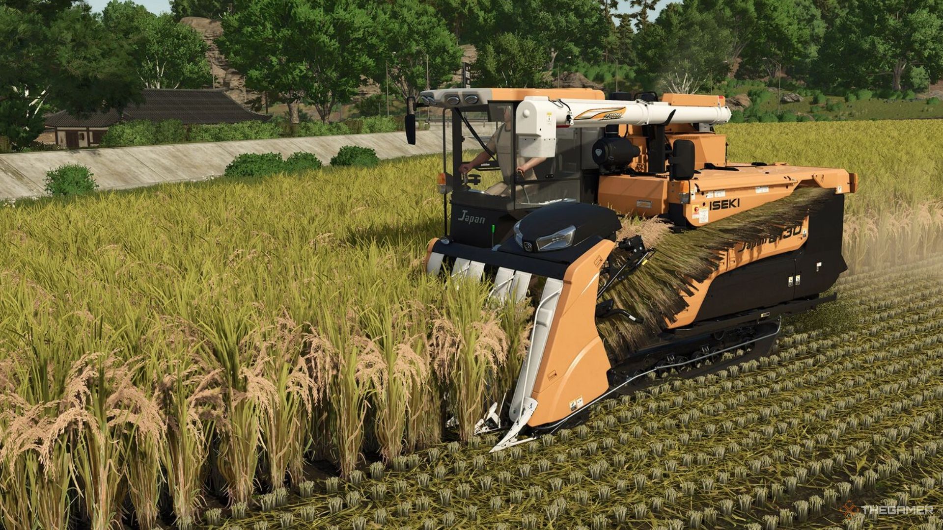 An image of harvesting rice in Farming Simulator 25