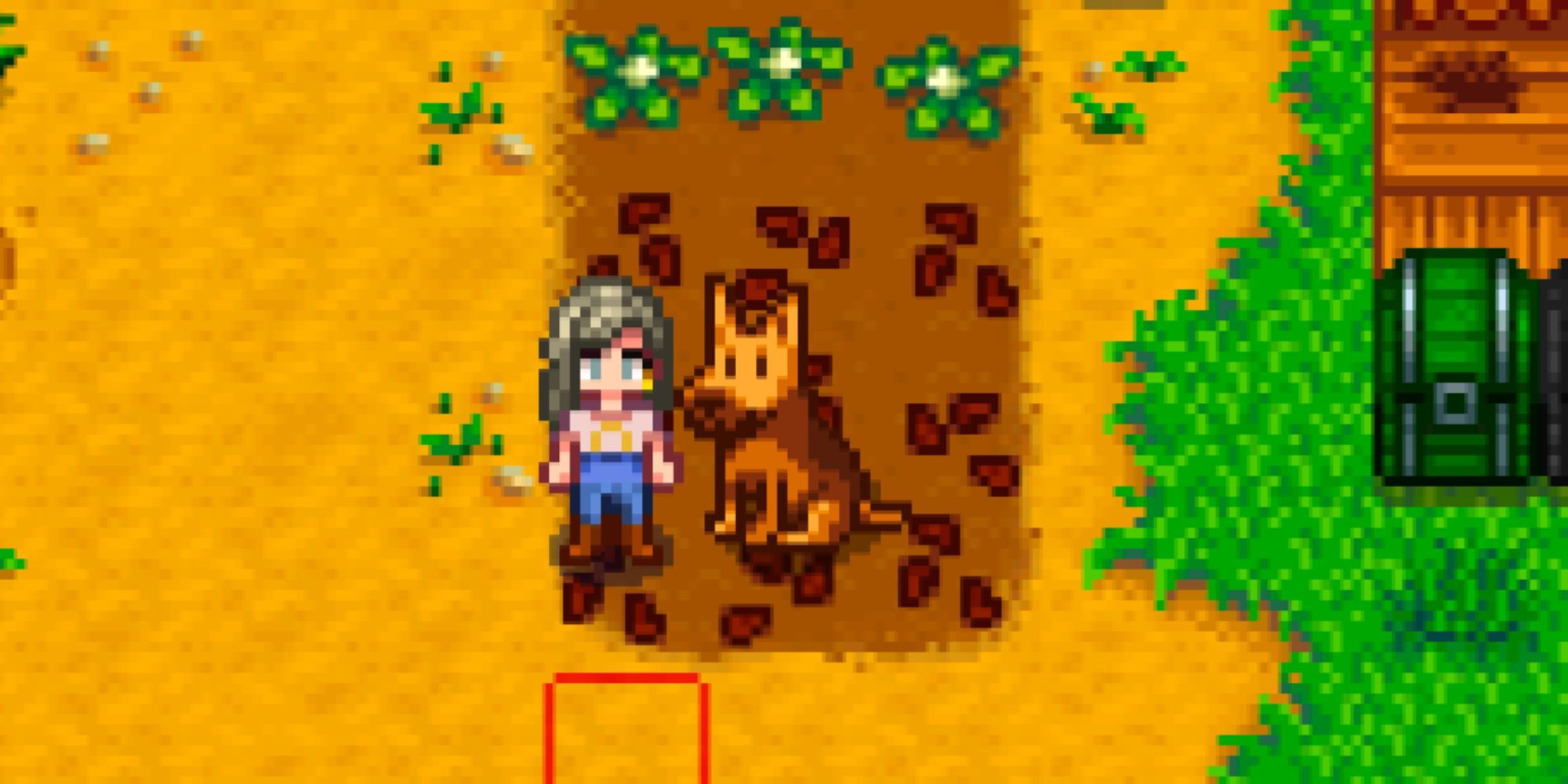 Stardew Valley Dog Standing Next To Player