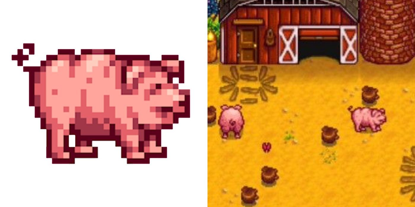 pigs and truffles stardew valley