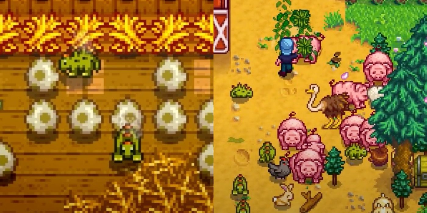 dino and ostrich rare animals in Stardew Valley