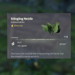 Where to Find Stinging Nettle