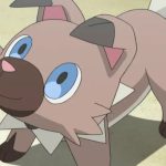 Pokemon's Sleeping Rockruff Plush Is Now Available At Walmart