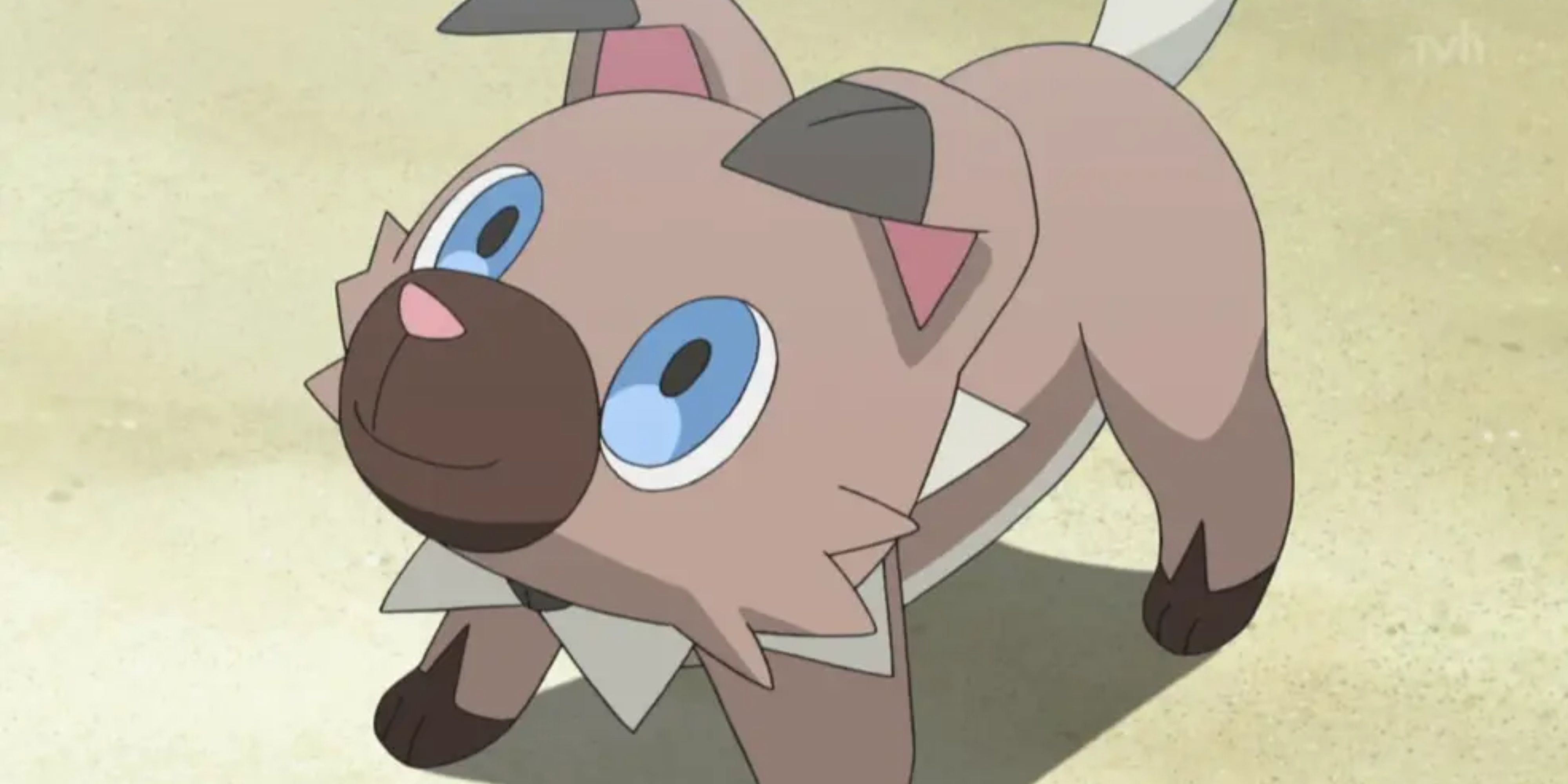 happy rockruff from the pokemon anime.