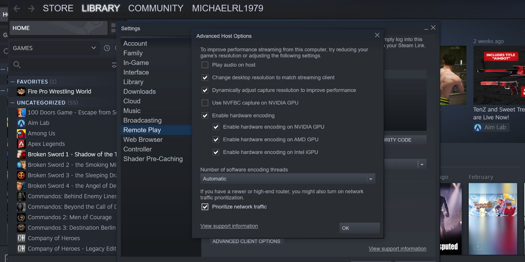 Steam Setting up remote play advanced options