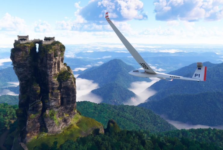 Microsoft Flight Sim 2024 Borrows Animals From Planet Zoo