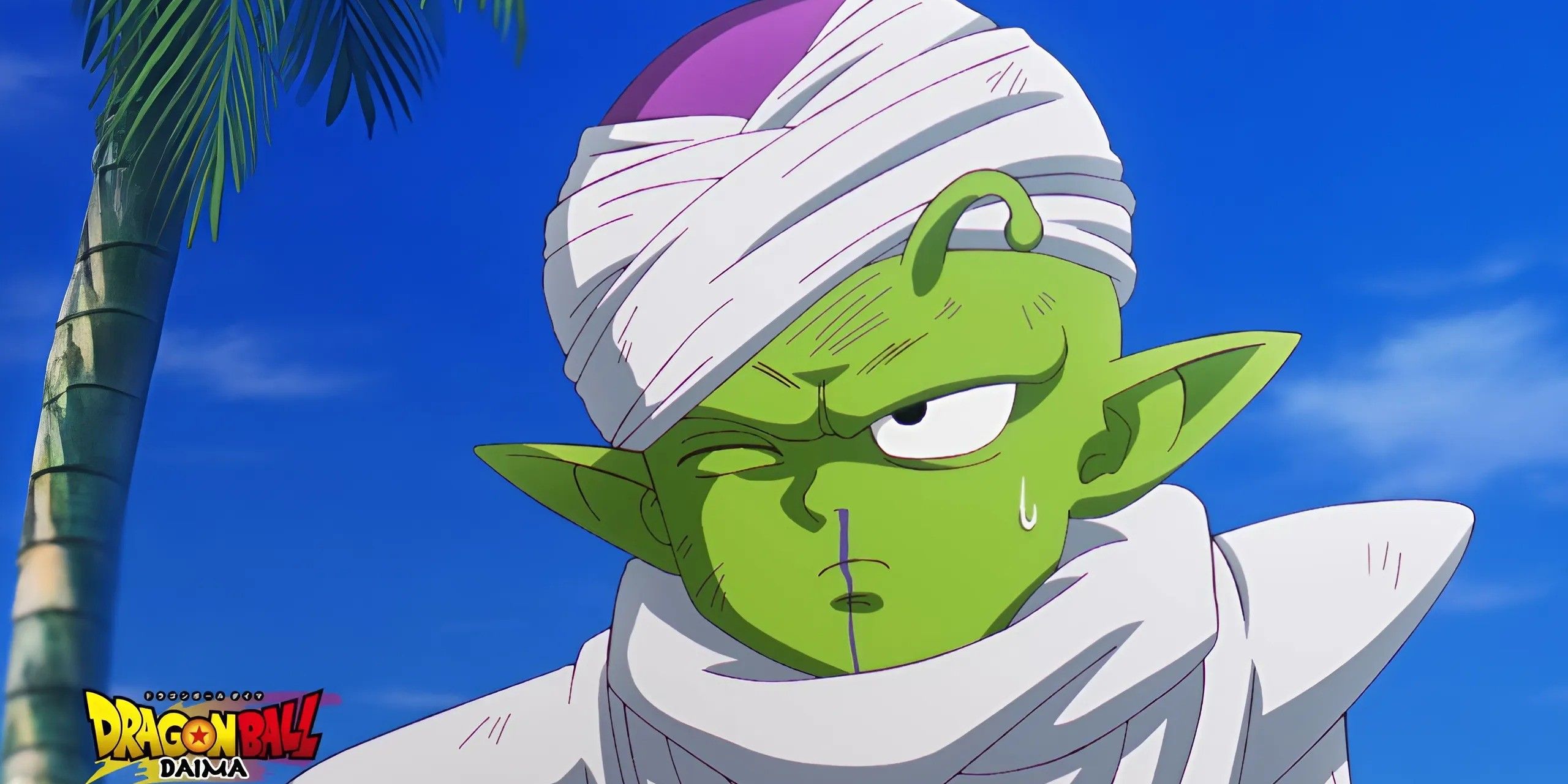 piccolo after crashing