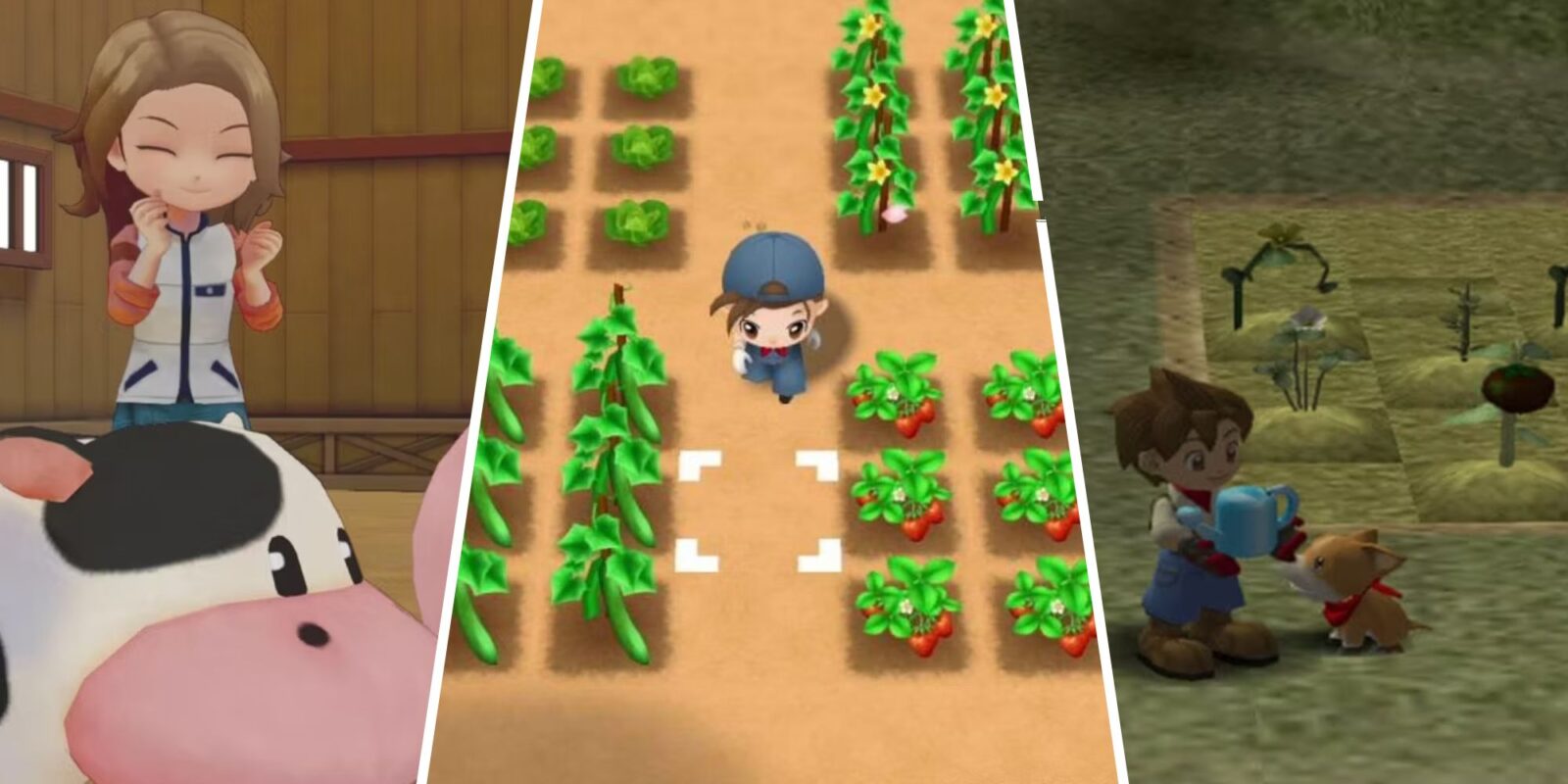 The Best Harvest Moon Games, Ranked