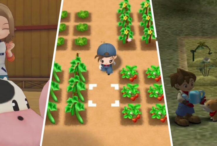 The Best Harvest Moon Games, Ranked